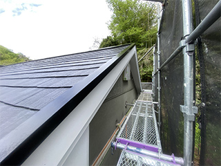 唐草交換（10ｍ以上）